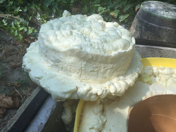 foam plug SMALL