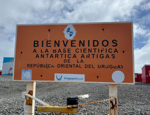 Breaking the Ice: The First Raspberry Shake in Antarctica